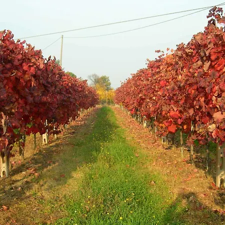 Ca' Lunga Villa Faenza