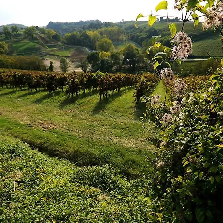 Ca' Lunga * Faenza